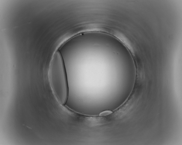 X0000112150805200908141213