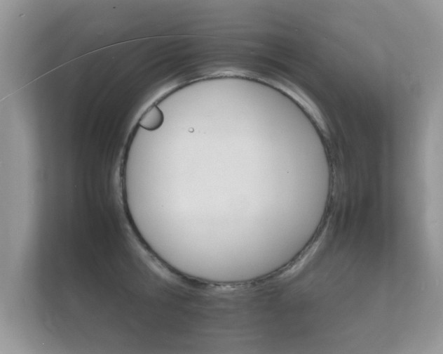 X0000112150806200908141213