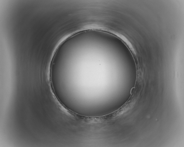 X0000112150815200908141213