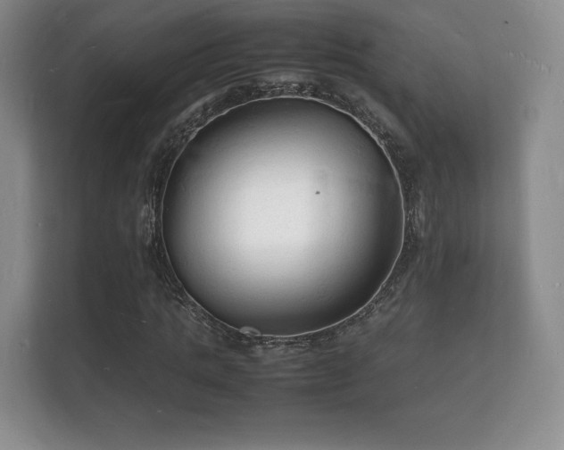 X0000112150821200908141213