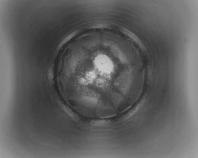 X0000112150826200908141213