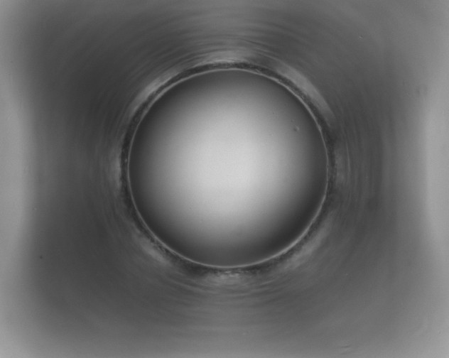 X0000112150834200908141213