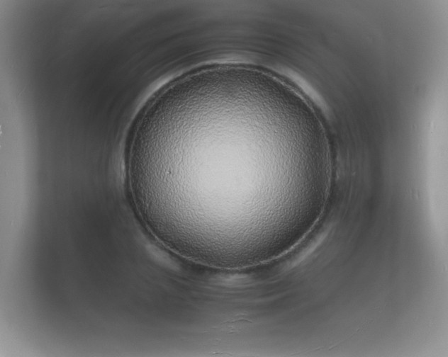 X0000112150837200908141213