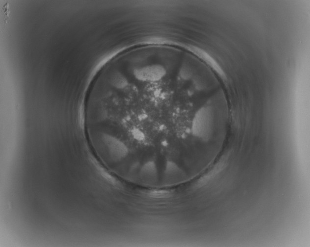 X0000112150839200908141213