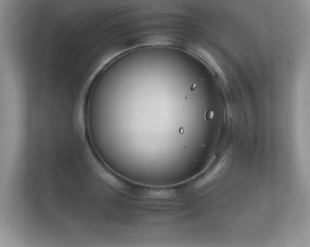 X0000112150843200908141213