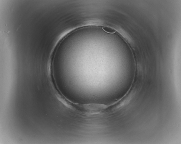 X0000112150846200908141213