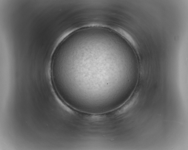 X0000112150847200908141213