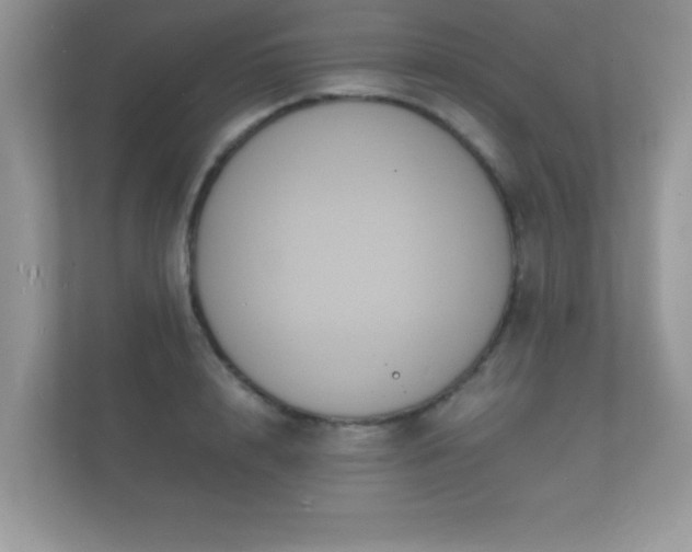 X0000112150848200908141213