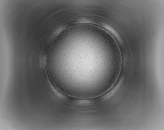 X0000112150849200908141213
