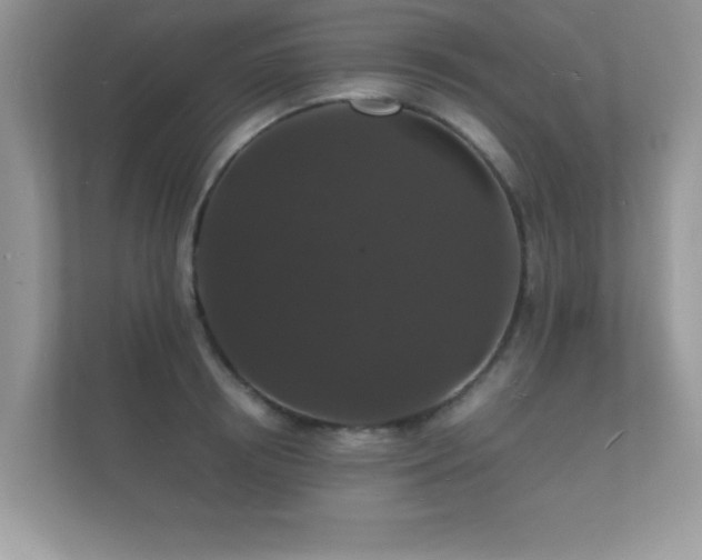 X0000112150850200908141213