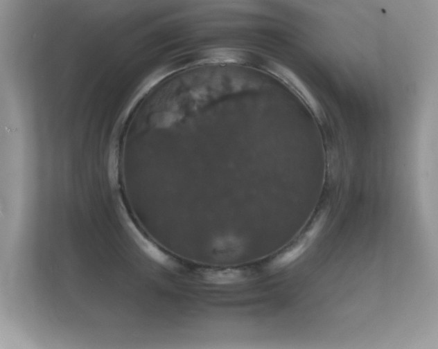 X0000112150851200908141213