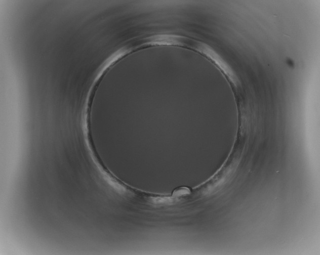 X0000112150853200908141213