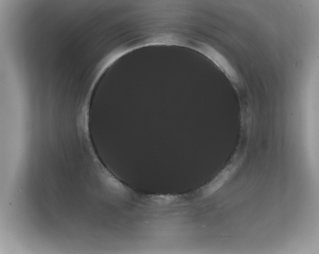 X0000112150854200908141213
