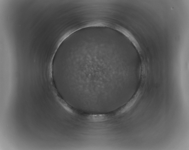 X0000112150858200908141213