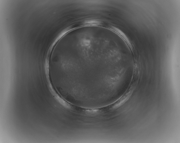 X0000112150859200908141213
