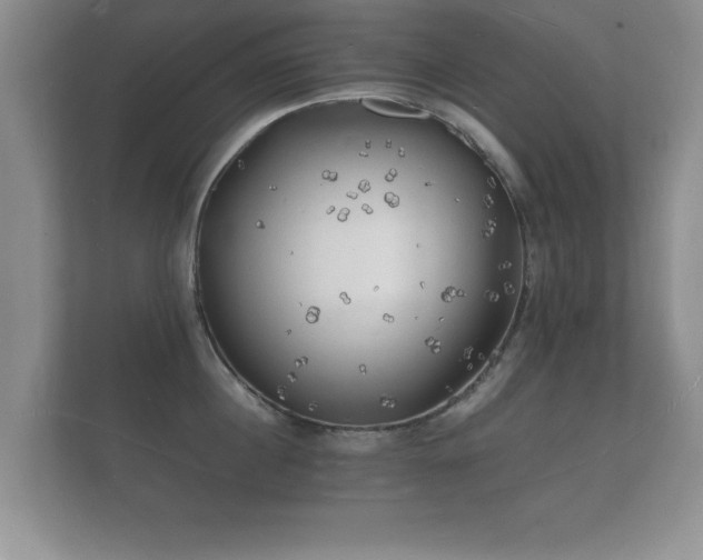 X0000112150860200908141213