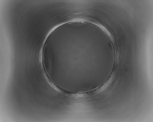 X0000112150862200908141213