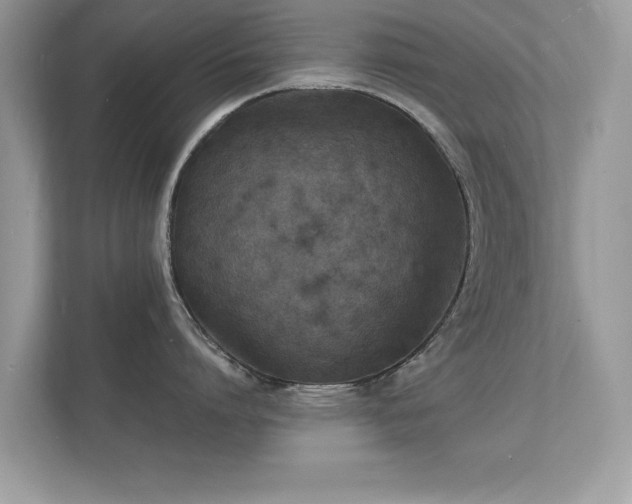X0000112150864200908141213