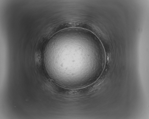 X0000112150867200908141212