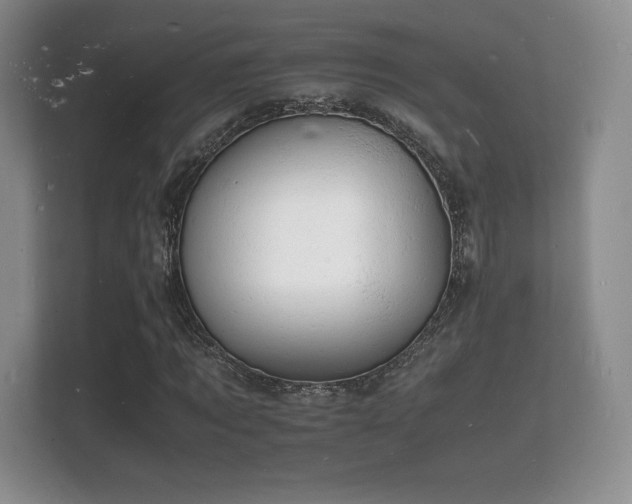 X0000112150869200908141212