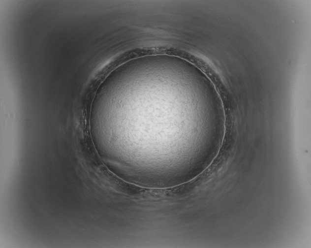 X0000112150871200908141212