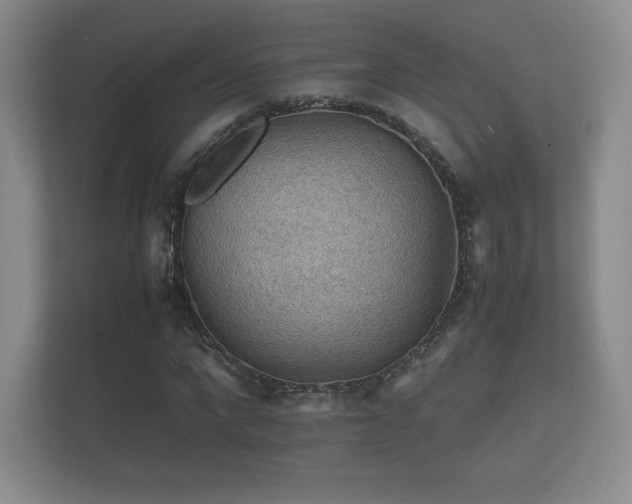 X0000112150872200908141212