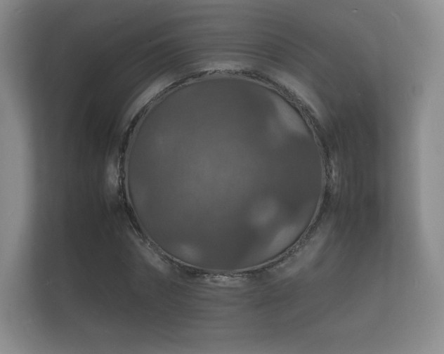 X0000112150874200908141212