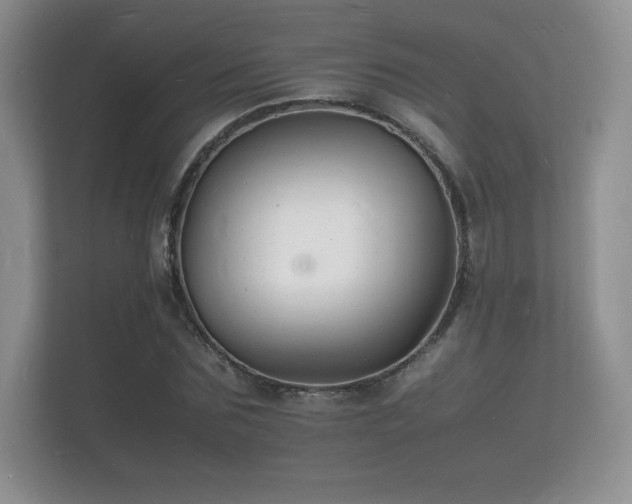 X0000112150875200908141212