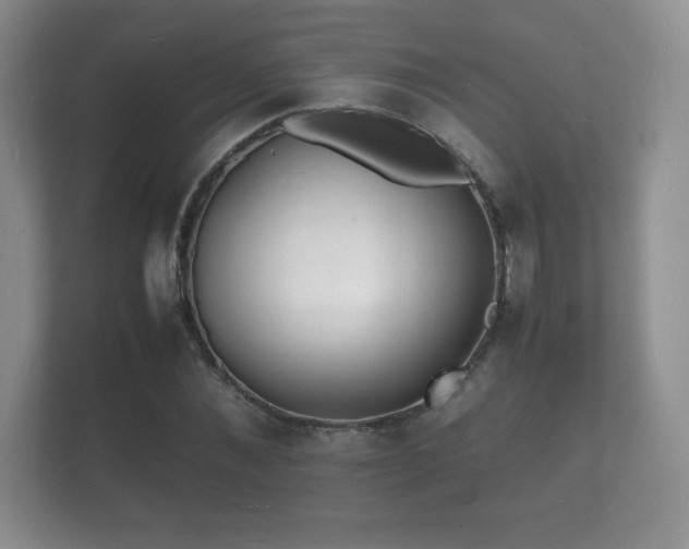 X0000112150876200908141212