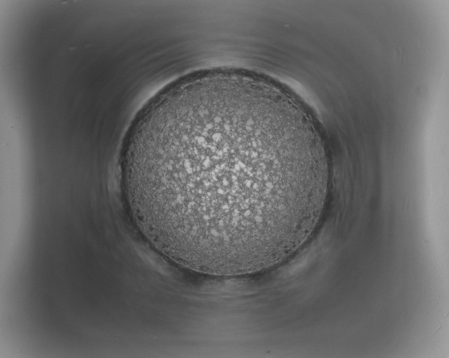 X0000112150879200908141212