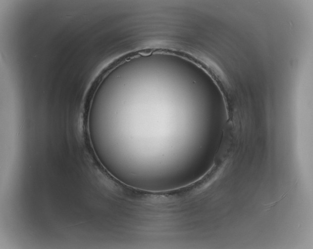 X0000112150880200908141212