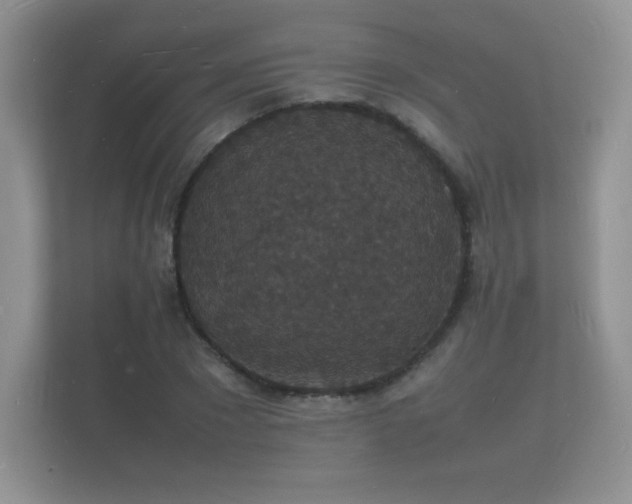 X0000112150881200908141212
