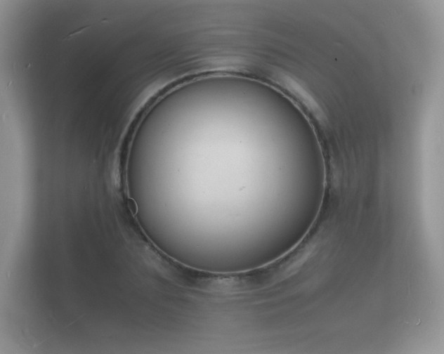 X0000112150883200908141212