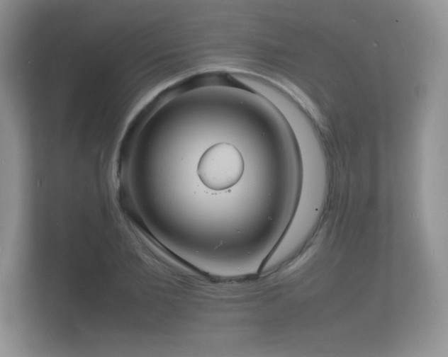 X0000112150885200908141212