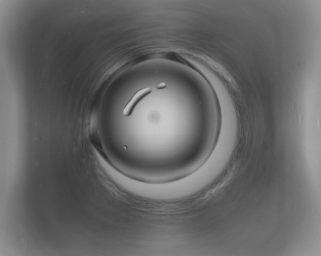 X0000112150889200908141212