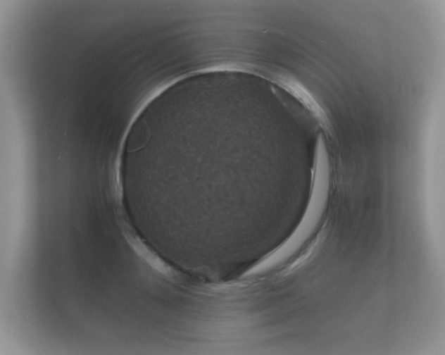 X0000112150892200908141212