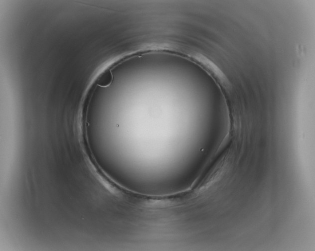 X0000112150894200908141212