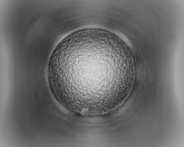 X0000112150895200908141212