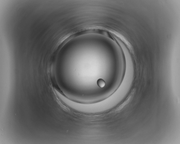 X0000112150897200908141212