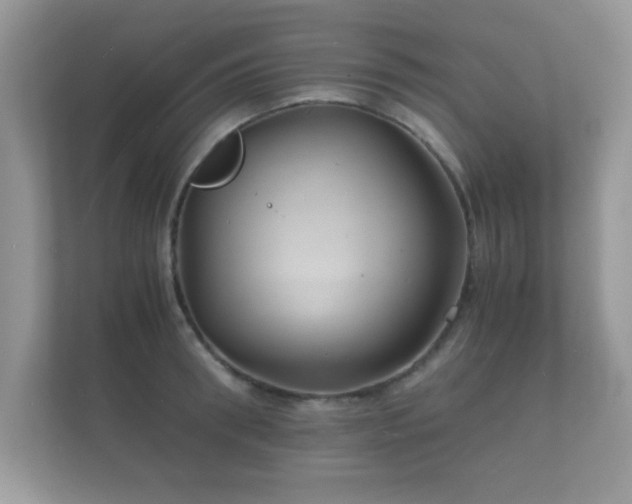 X0000112150898200908141212