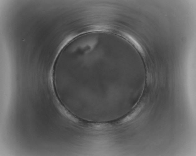 X0000112150899200908141212