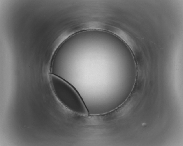 X0000112150901200908141212