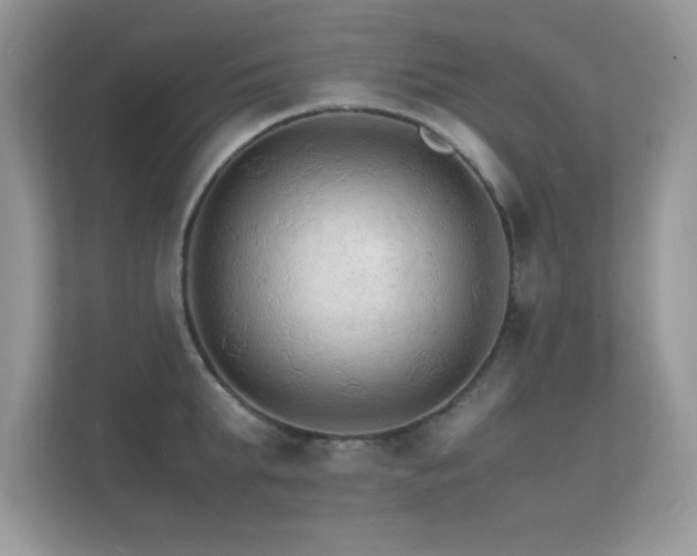 X0000112150903200908141212