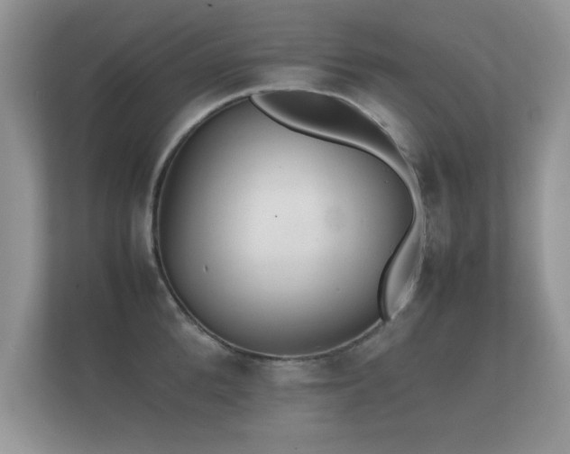 X0000112150904200908141212