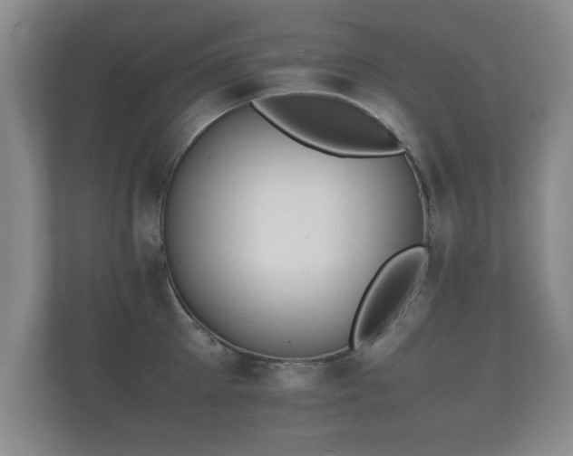 X0000112150905200908141212