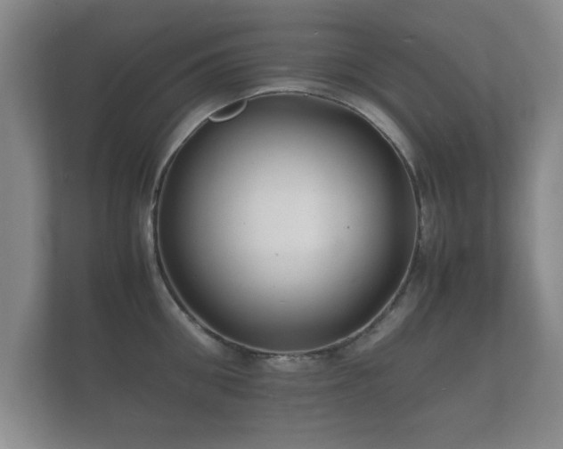 X0000112150906200908141212