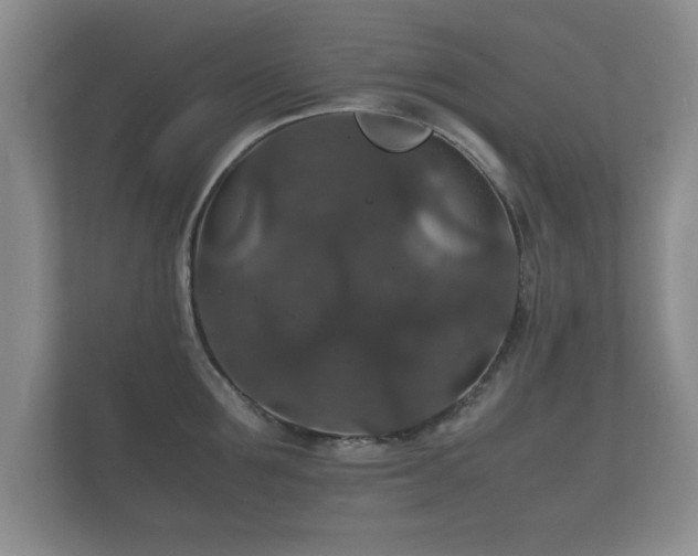 X0000112150907200908141212