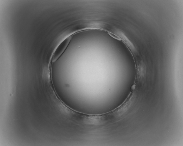 X0000112150908200908141212