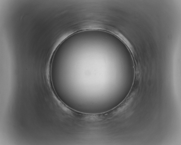 X0000112150909200908141212