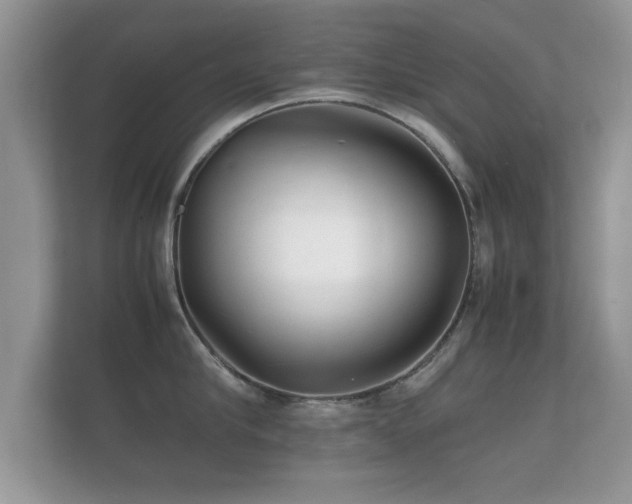 X0000112150910200908141212